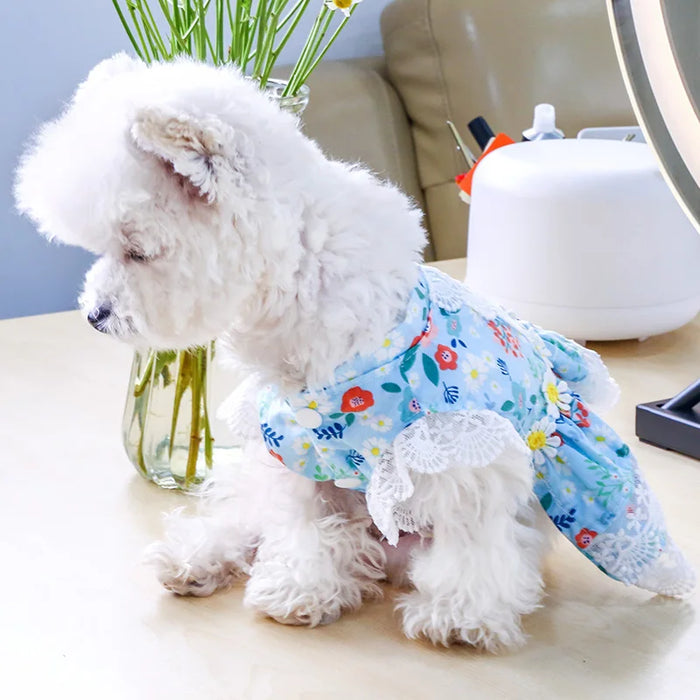 Comfortable Daisy Doggy Dress