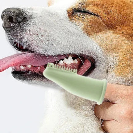 Super Soft Pet Finger Toothbrush